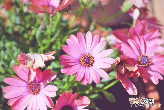 国外有位著名的心理学家 40年调查了700对夫妻，发现幸福的婚姻，有个“共同点”