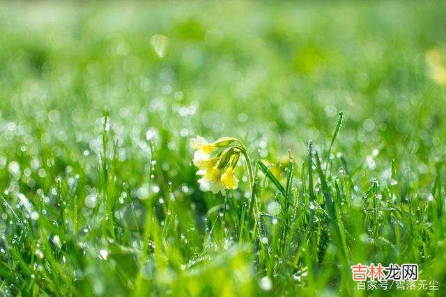 人生 人到中年，越活越掉价的3件事，劝你不要再做