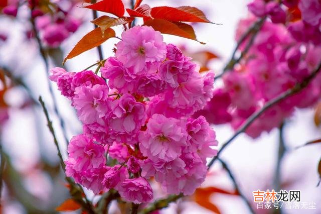 在一篇文章里 有的女人，靠着足够“狠”，活成了自己想要的样子