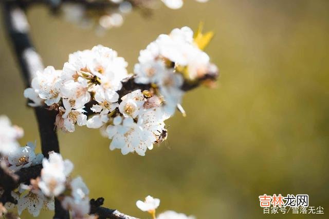 三毛说：“世界上的喜剧不需要金钱就能产生 一个人的真实人品，藏在他对“钱”的态度里