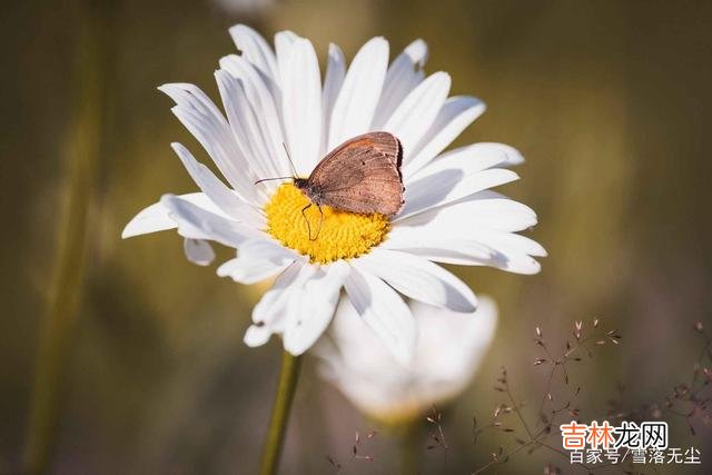 三毛说：“世界上的喜剧不需要金钱就能产生 一个人的真实人品，藏在他对“钱”的态度里