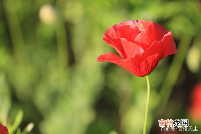 网上有个提问：“和一个人聊天很舒服是什么感觉？”有个高赞回答是：“你小骄傲的时候捧你的场...|与人交往，若不想招人烦，学会“闭嘴”就够了