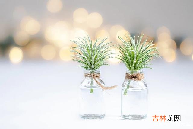 我们生活的世界 人的一生，坏情绪是一个致命的毒药，毁了自己的一生