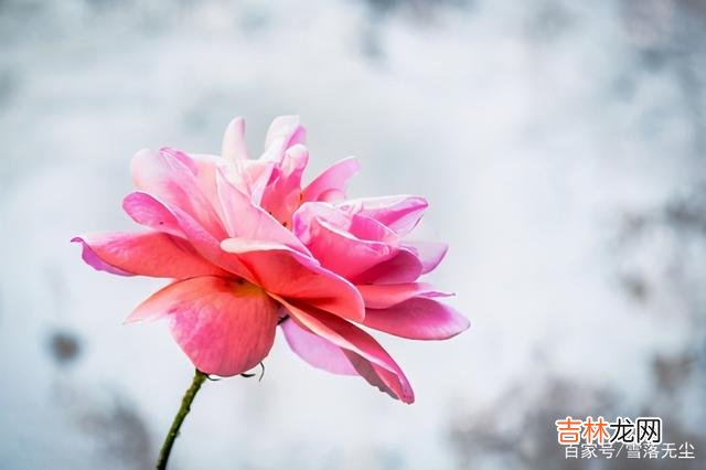 有人说“社会很简单 人生之路上，该来的你挡不住，该走的你留不下