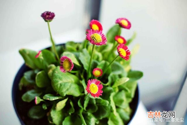 小的时候 人际关系经历了才知道，人与人相处最好的模式是顺其自然