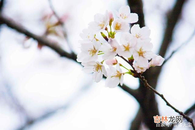 人与人之间，别人怎么对你，都是你“自找”的，善良很重要