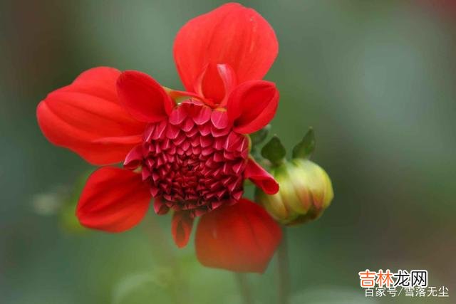 作家戴高乐曾说：“到月球上去不算太远 能白首的爱情，都是不急、不燥，等着那个人奔赴而来