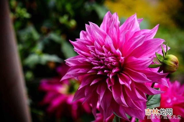 作家戴高乐曾说：“到月球上去不算太远 能白首的爱情，都是不急、不燥，等着那个人奔赴而来