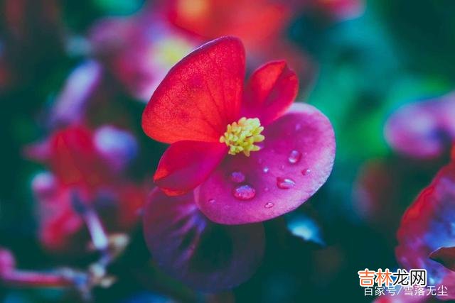 作家戴高乐曾说：“到月球上去不算太远 能白首的爱情，都是不急、不燥，等着那个人奔赴而来