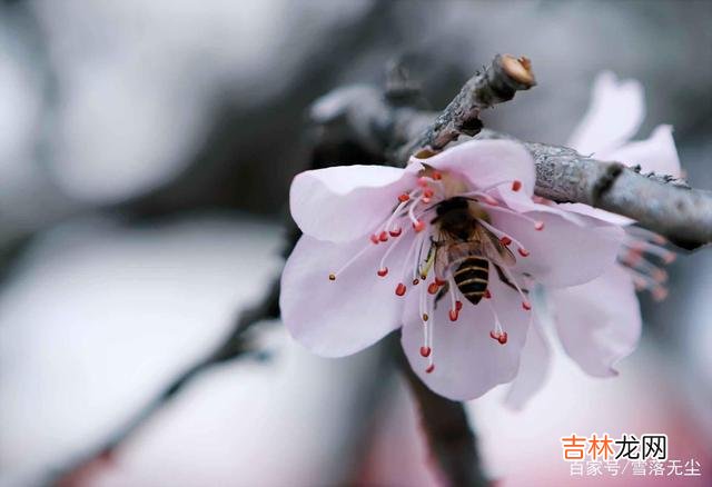 人生三忌，戒掉目标，富贵自然来