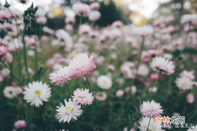 人生三忌，戒掉目标，富贵自然来