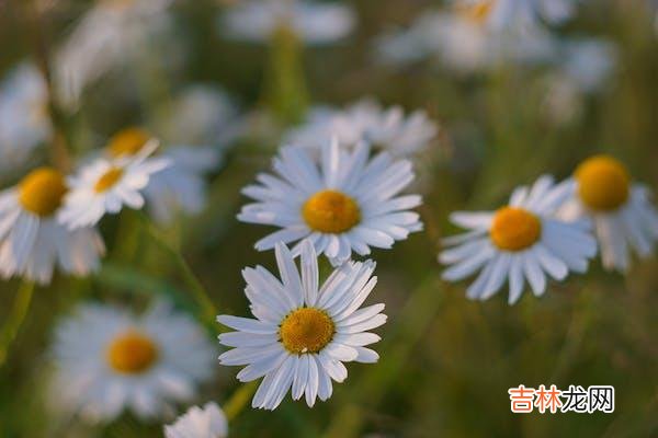 01因为是真心爱 为婚外感情而纠结的人常会遇到这两种纠结