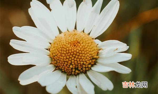 01面对婚姻里的背叛 面对婚姻里的背叛,你要学会与自己的和解,去实现自我疗愈