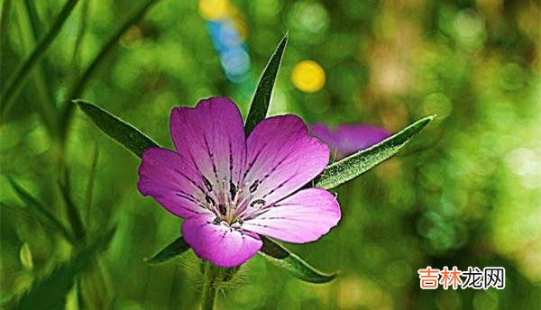 01面对婚姻里的背叛 面对婚姻里的背叛,你要学会与自己的和解,去实现自我疗愈