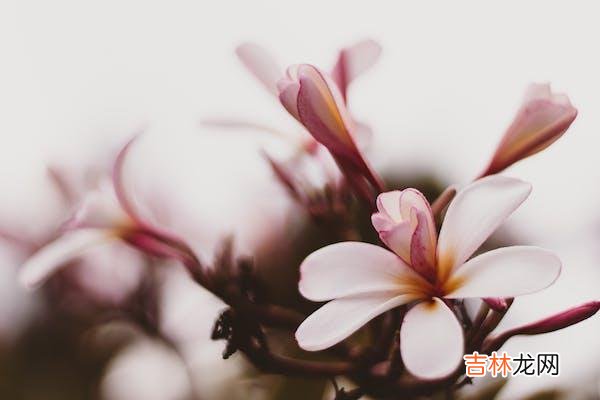 01亲密关系无疑是个体最亲近的一份关系 与其说是关系让人受伤，不如说是自身与伴侣都没有经营好关系