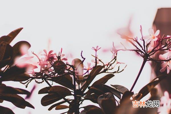 01亲密关系无疑是个体最亲近的一份关系 与其说是关系让人受伤，不如说是自身与伴侣都没有经营好关系