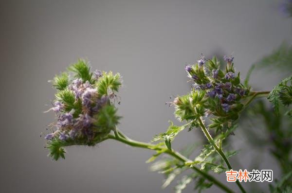 01亲密关系无疑是个体最亲近的一份关系 与其说是关系让人受伤，不如说是自身与伴侣都没有经营好关系