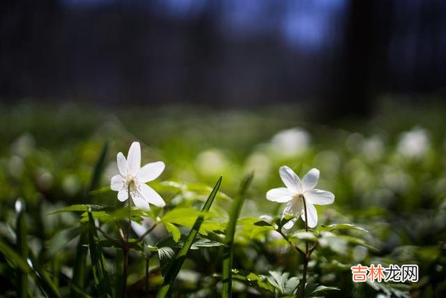 01亲密关系无疑是个体最亲近的一份关系 与其说是关系让人受伤，不如说是自身与伴侣都没有经营好关系