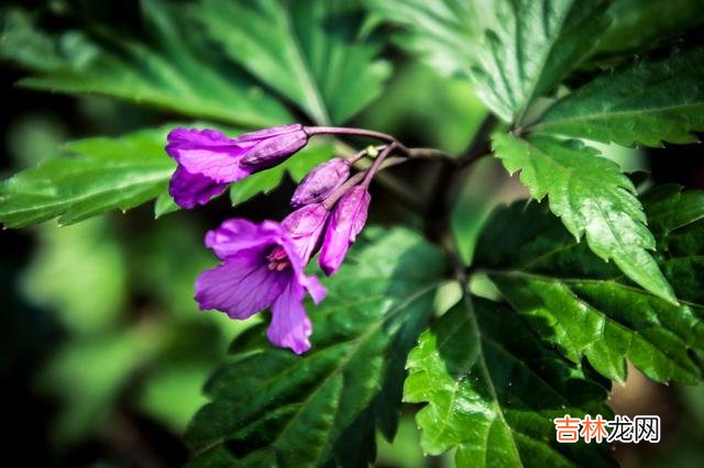 01每个走进婚姻的人 想要婚姻幸福，学会且提升“感受爱”的能力