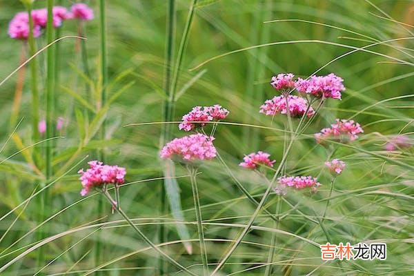 01每个走进婚姻的人 想要婚姻幸福，学会且提升“感受爱”的能力