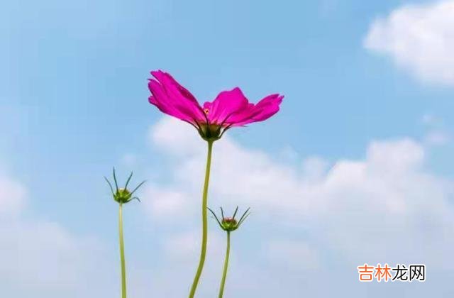 很多爱情都是转瞬即逝的 断联后男人依旧放不下你，可以确定的是，他真心爱过