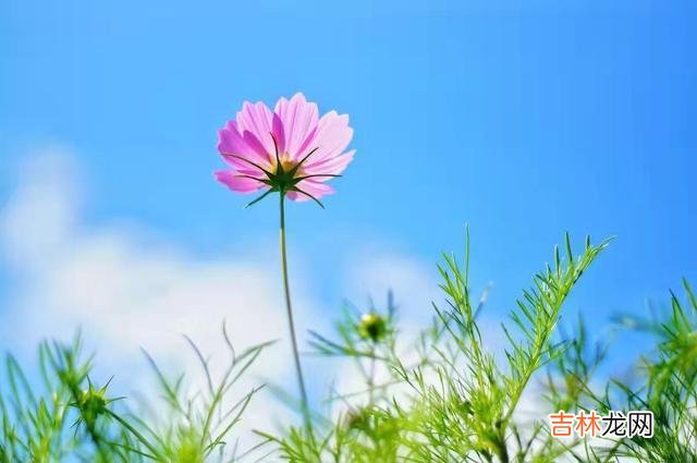 很多爱情都是转瞬即逝的 断联后男人依旧放不下你，可以确定的是，他真心爱过