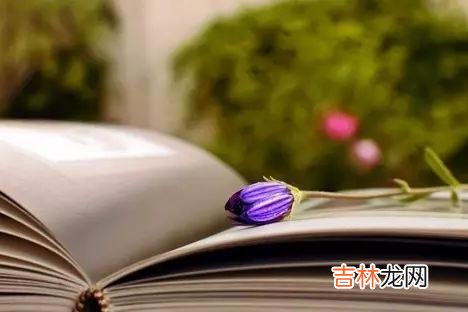 女人对男人不再感兴趣,包括生理和心理两个层面