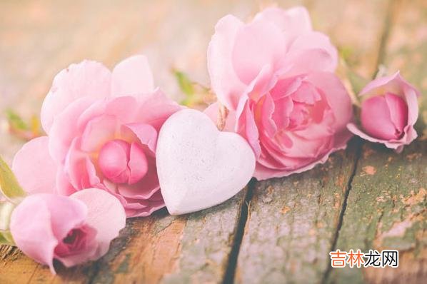 近几年来结婚率逐年下降 找不到合适的人，她们宁可高傲地孤独着，也不愿意将就地结婚