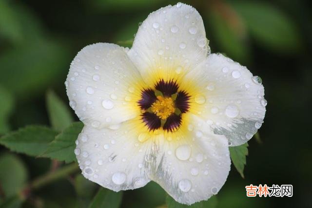 01人生是一个渐渐“长大”的过程。|人到中年，最让人感觉无奈的是对自己现有的生活有太多的不满