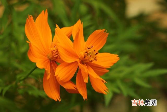 01人生是一个渐渐“长大”的过程。|人到中年，最让人感觉无奈的是对自己现有的生活有太多的不满