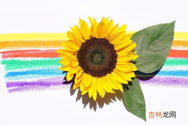 01人生是一个渐渐“长大”的过程。|人到中年，最让人感觉无奈的是对自己现有的生活有太多的不满