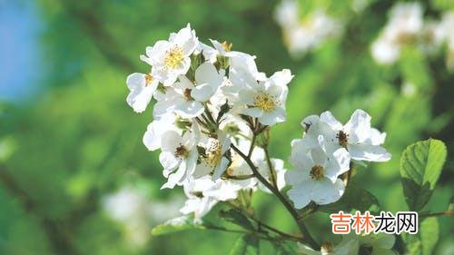01常会遇到为婚外感情而痛苦和纠结的来访者 一场婚外恋，带给你痛苦中的原因是：爱