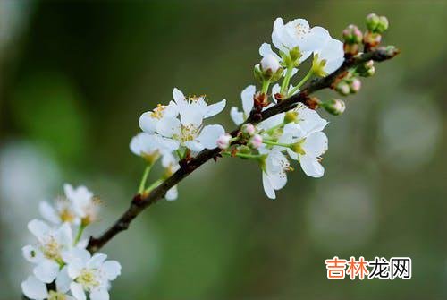 01常会遇到为婚外感情而痛苦和纠结的来访者 一场婚外恋，带给你痛苦中的原因是：爱