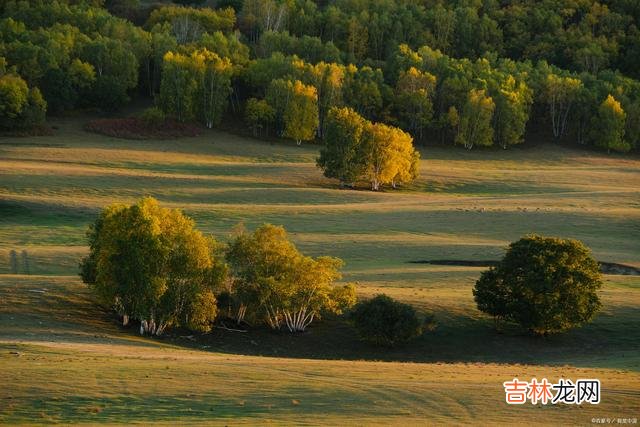 真正的朋友，无论走到哪里，都是心灵的慰藉和依靠