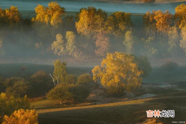 真正的朋友，无论走到哪里，都是心灵的慰藉和依靠