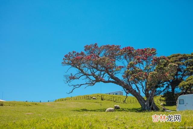 生活很现实 人心复杂，千万别把良心丢了！