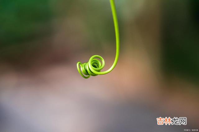 在这个世界上 人字好写，做起来难，我们只有做好自己，才会得到应有的结果