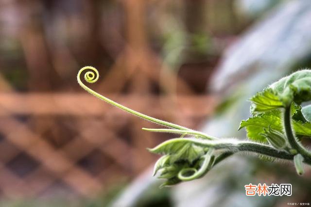 在这个世界上 人字好写，做起来难，我们只有做好自己，才会得到应有的结果