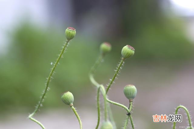 生活没有绝对的好与坏 生活没有绝对的好与坏，适合你的，才是最好的