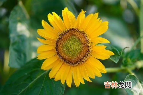 01“为什么我爱过的人总是不够爱我？为什么我很用心的去爱一个人 为什么会一而再再而三的遇到相似的低质量的情感关系