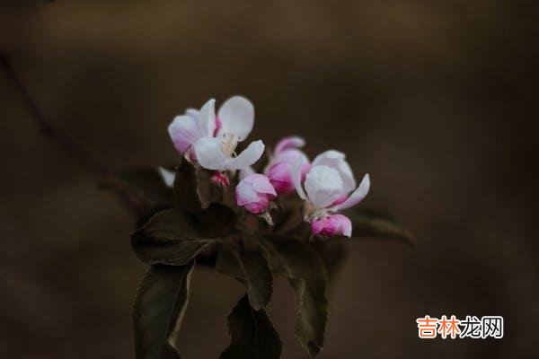 01“为什么我爱过的人总是不够爱我？为什么我很用心的去爱一个人 为什么会一而再再而三的遇到相似的低质量的情感关系