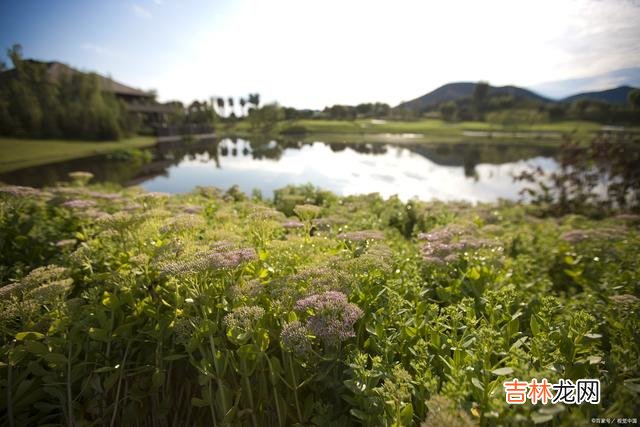 每个人都有自己独特的做事风格 切勿贪图小便宜，要想做一个优秀的人，要切记这三点