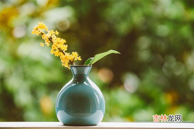 现在这个时代的节奏越来越快 让自己静下来，就需要学会控制自己的情绪