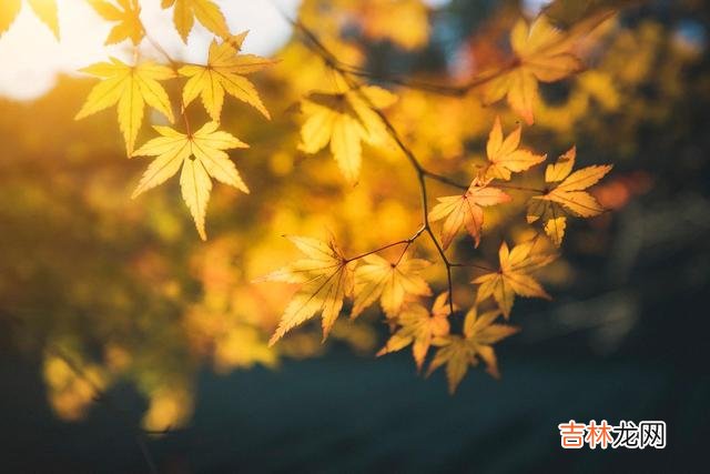 对于我们来说 如果有一个人，慢慢疏远我们，请学会这样做