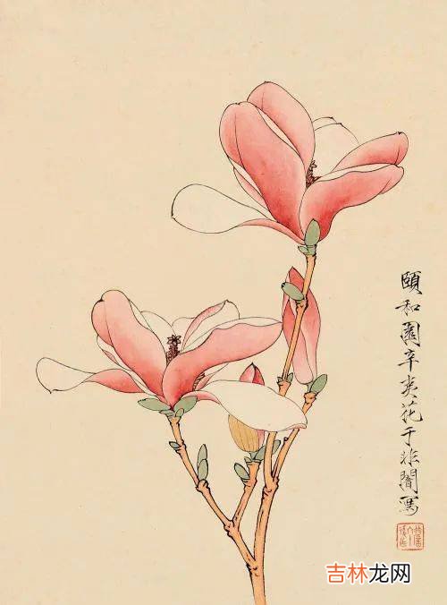 夜读 | 富养自己：好好吃饭，培养爱好，丰盈灵魂