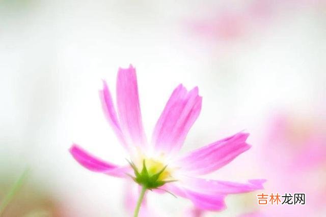 在生活中 一个人没有朋友，却总喜欢独来独往，说明了三个问题