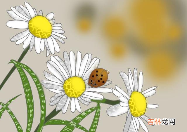 一个女人在和你来往时 真正深爱你的女人，会有这三个“留下”，你都知道吗