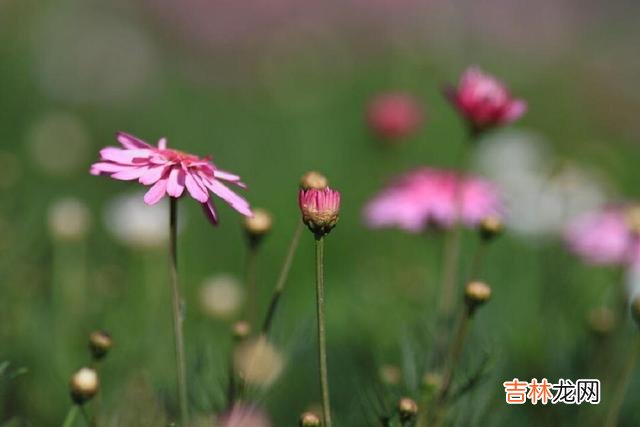 朋友最近在C市又购置了一套住房 为什么我们越来越不快乐，越来越感觉到累？