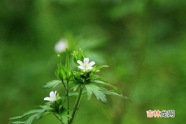 朋友最近在C市又购置了一套住房 为什么我们越来越不快乐，越来越感觉到累？