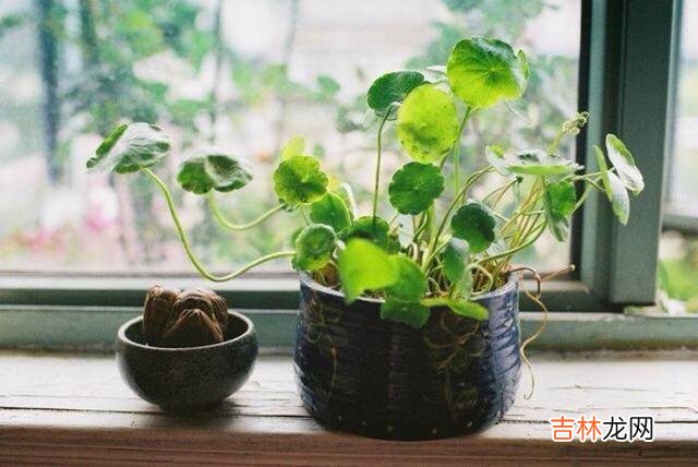 有次去朋友的办公室里 无论如何，别因为借钱，随便就借出来个仇人